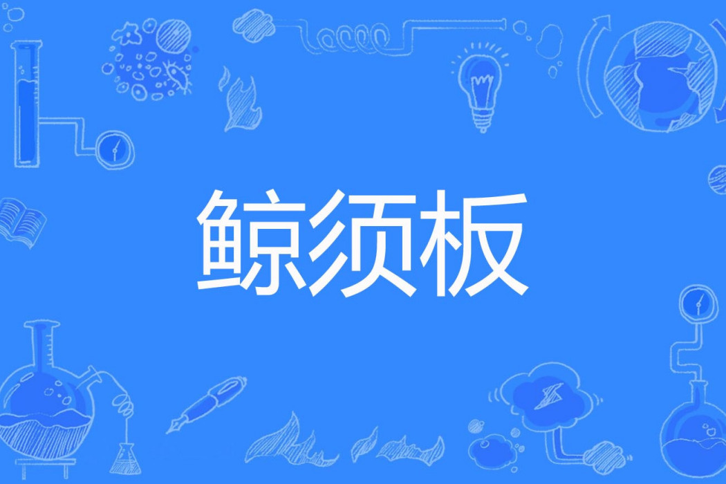 鯨鬚板 鯨鬚板