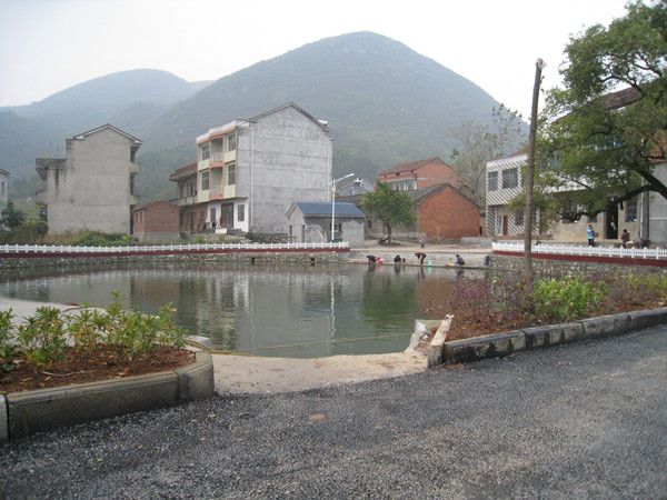 農桂村 農桂村