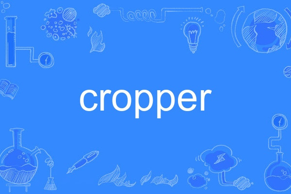 cropper cropper