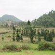 大沙馬村 大沙馬村