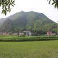 路邊村(福建漳州漳浦縣杜潯鎮下轄村) 路邊村(福建漳州漳浦縣杜潯鎮下轄村)