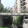 天鑫花園 天鑫花園