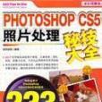 Photoshop CS5照片處理秘技大全