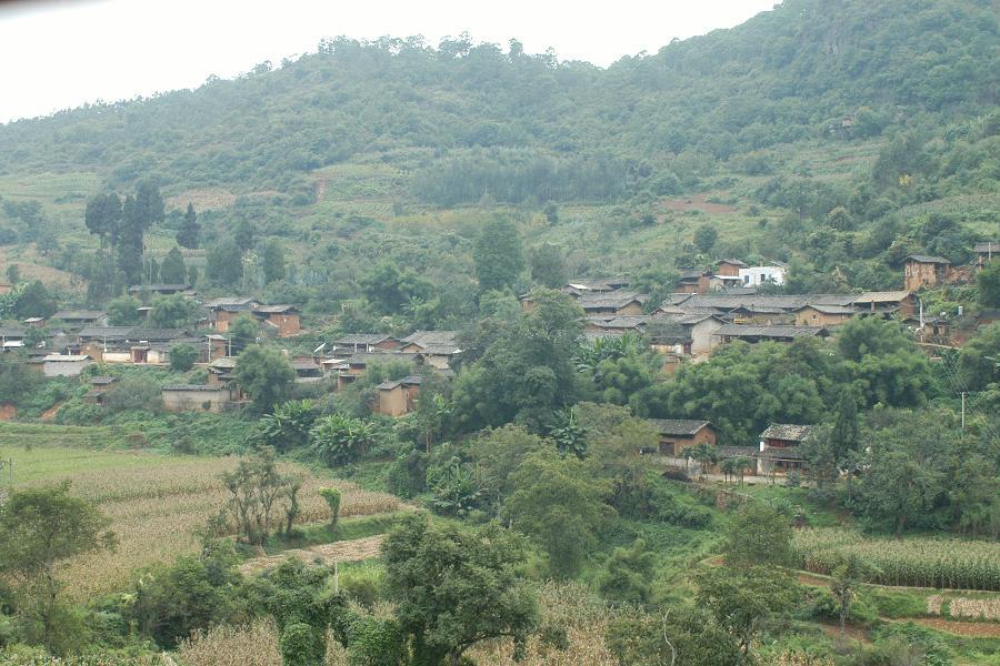 牛廠箐村 牛廠箐村