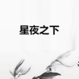 星夜之下 星夜之下