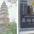 黃塔村(河南省滑縣半坡店鄉黃塔村) 黃塔村(河南省滑縣半坡店鄉黃塔村)