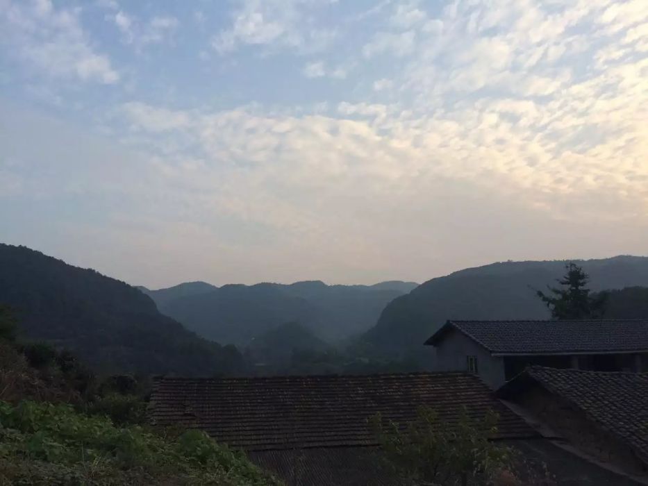 天鵝池村(湖北省宜昌市夷陵區分鄉鎮天鵝池村) 天鵝池村(湖北省宜昌市夷陵區分鄉鎮天鵝池村)