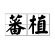 蕃植 蕃植