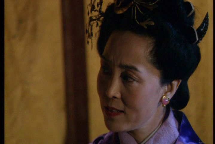 蔡夫人(94版電視劇《三國演義》劇中人物) 蔡夫人(94版電視劇《三國演義》劇中人物)