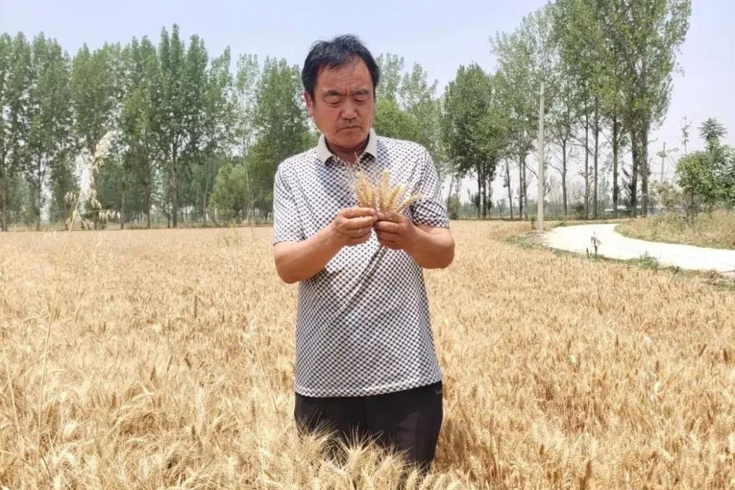 劉艷生 劉艷生