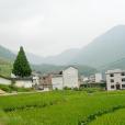 圪節底村 圪節底村