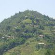 壩山村(雲南省怒江傈州瀘水市魯掌鎮壩山村) 壩山村(雲南省怒江傈州瀘水市魯掌鎮壩山村)