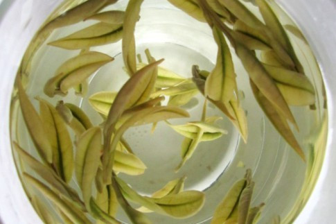 九華聖茶 九華聖茶