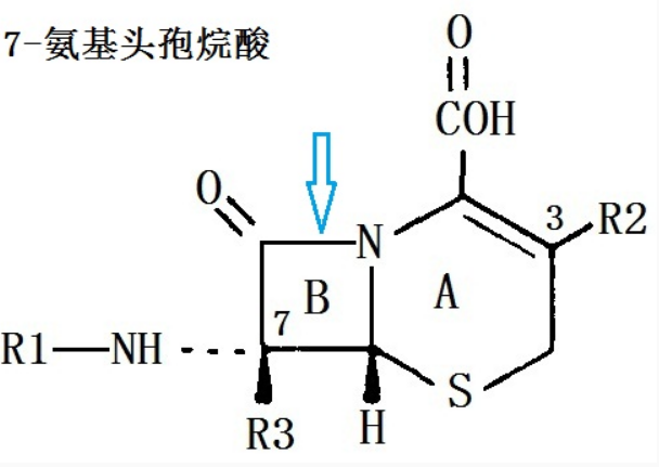 7-氨基頭孢烷酸(7-ACA)