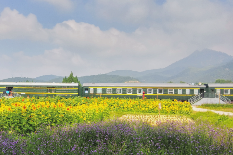 袁夫稻田 袁夫稻田