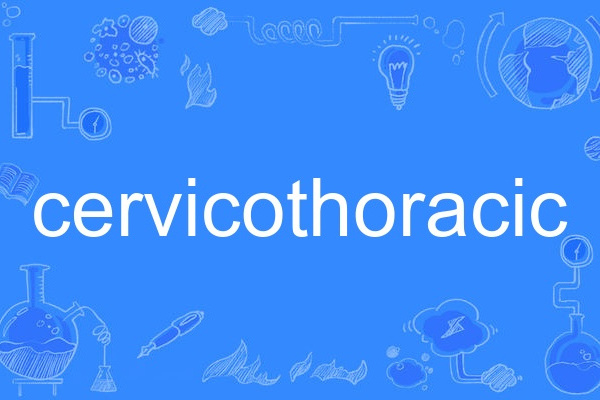 cervicothoracic cervicothoracic