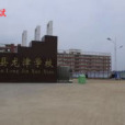安義縣龍津國小(龍津國小（安義縣龍津國小）)