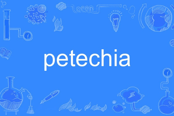 petechia petechia
