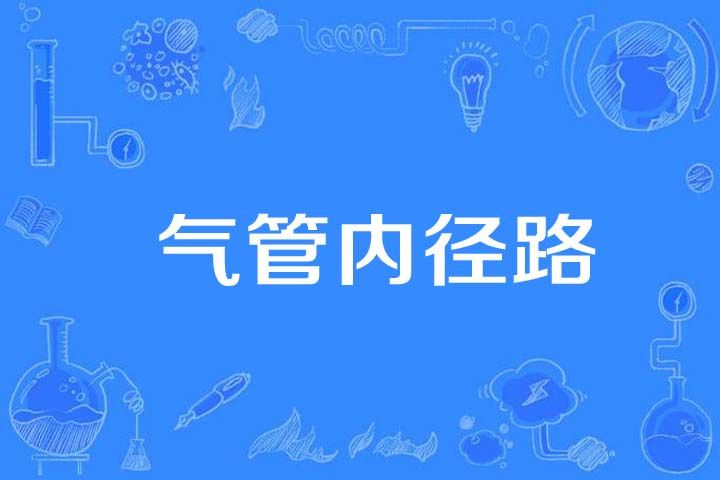 氣管內徑路 氣管內徑路