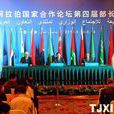 中國-阿拉伯國家合作論壇關於中阿雙方建立戰略合作關係的天津宣言(中國-阿拉伯國家合作論壇關於中阿雙方建立戰略合作關係的天津宣言)
