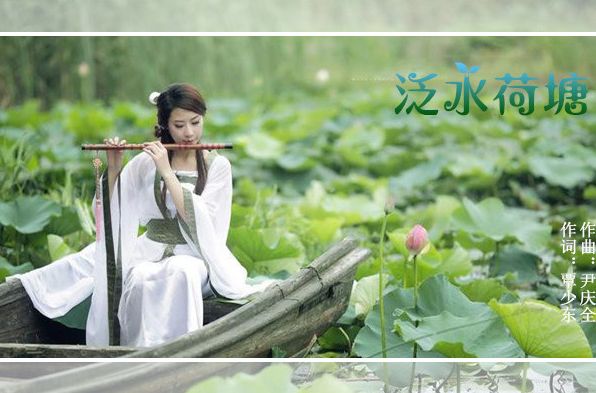 泛水荷塘 泛水荷塘