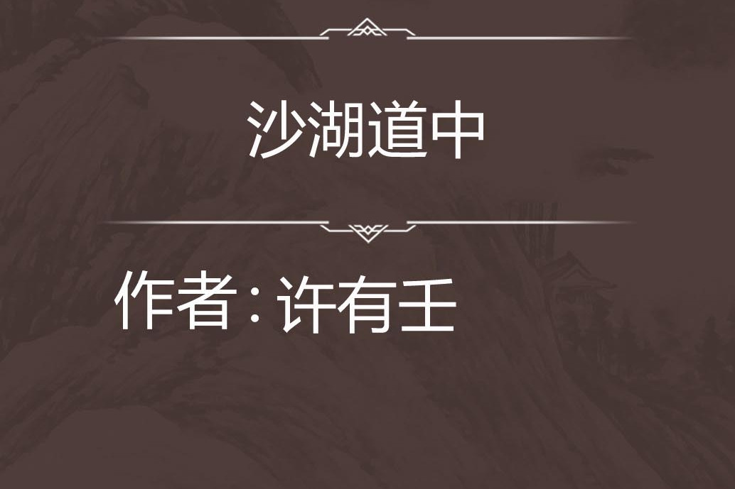 沙湖道中 沙湖道中