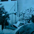 山本榮治
