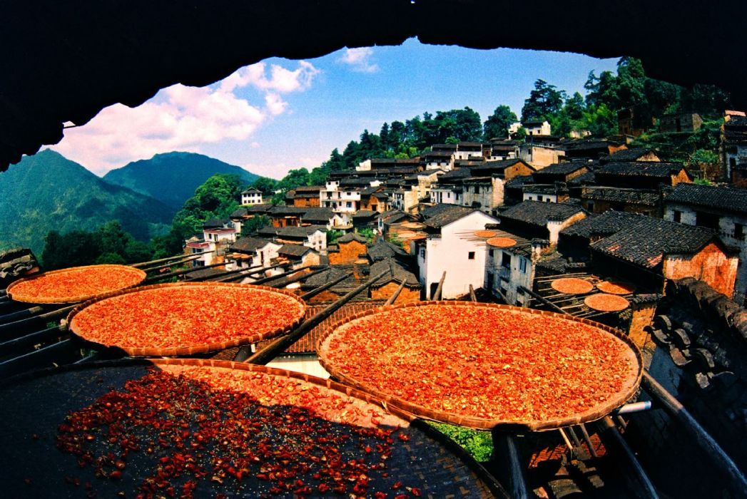 婺源寫生基地 婺源寫生基地