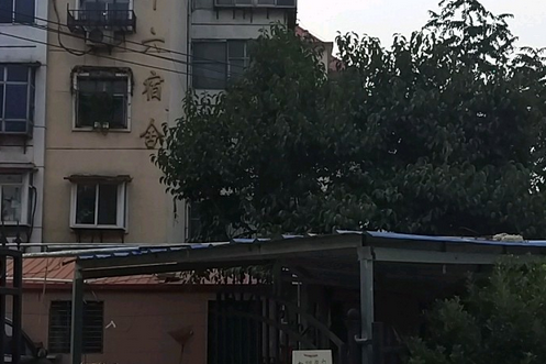 鐵路56宿舍 鐵路56宿舍