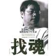 找魂:王志綱工作室戰略策劃10年實錄(找魂) 找魂:王志綱工作室戰略策劃10年實錄(找魂)