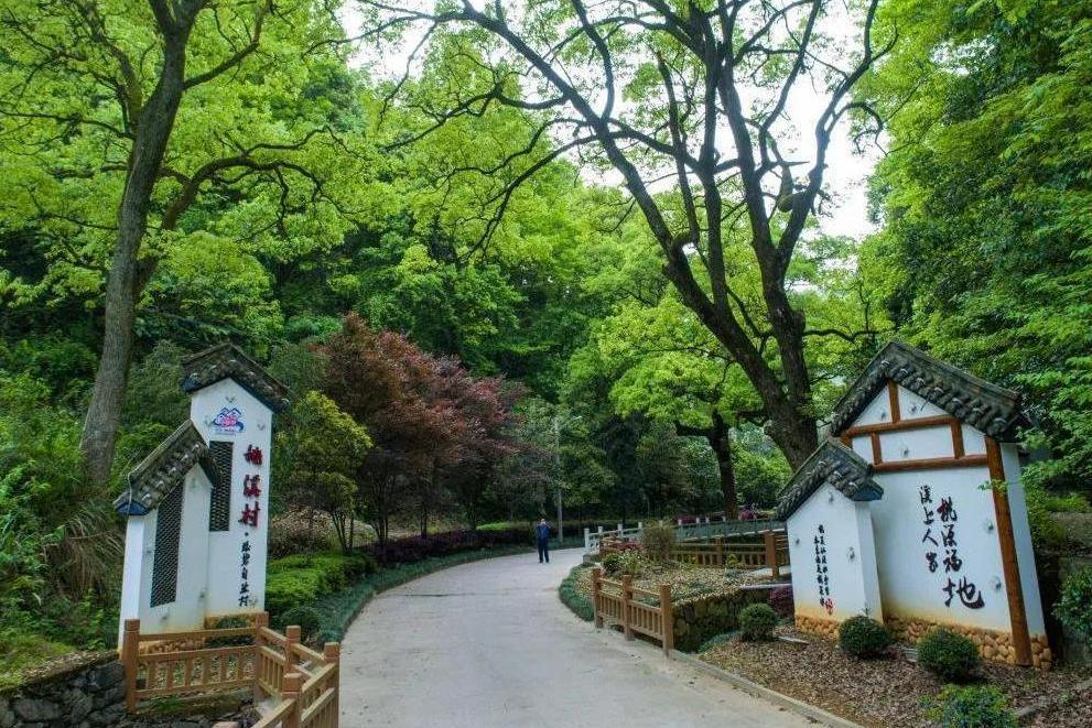桃溪村(浙江省開化縣芹陽辦事處下轄行政村)