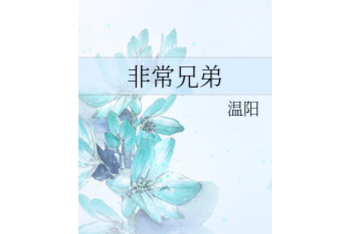 非常兄弟 非常兄弟