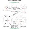史瓦西解