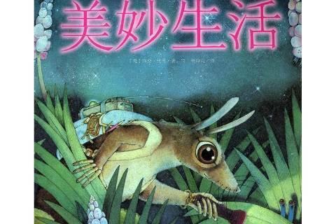 美妙生活(2015年晨光出版社出版的圖書) 美妙生活(2015年晨光出版社出版的圖書)