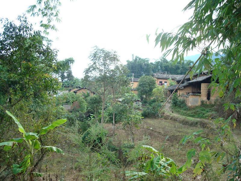 太家頭村
