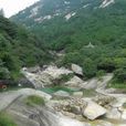 障山大峽谷 障山大峽谷
