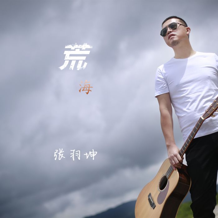 荒海(張羽坤演唱歌曲) 荒海(張羽坤演唱歌曲)