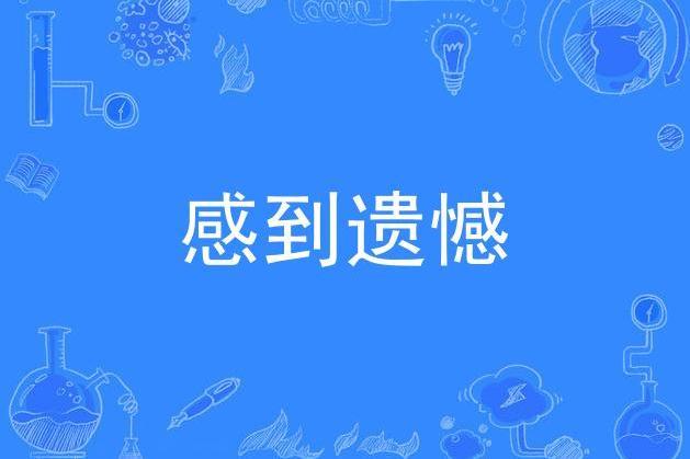 感到遺憾 感到遺憾