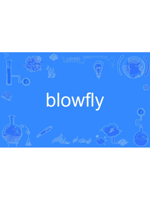 blowfly blowfly