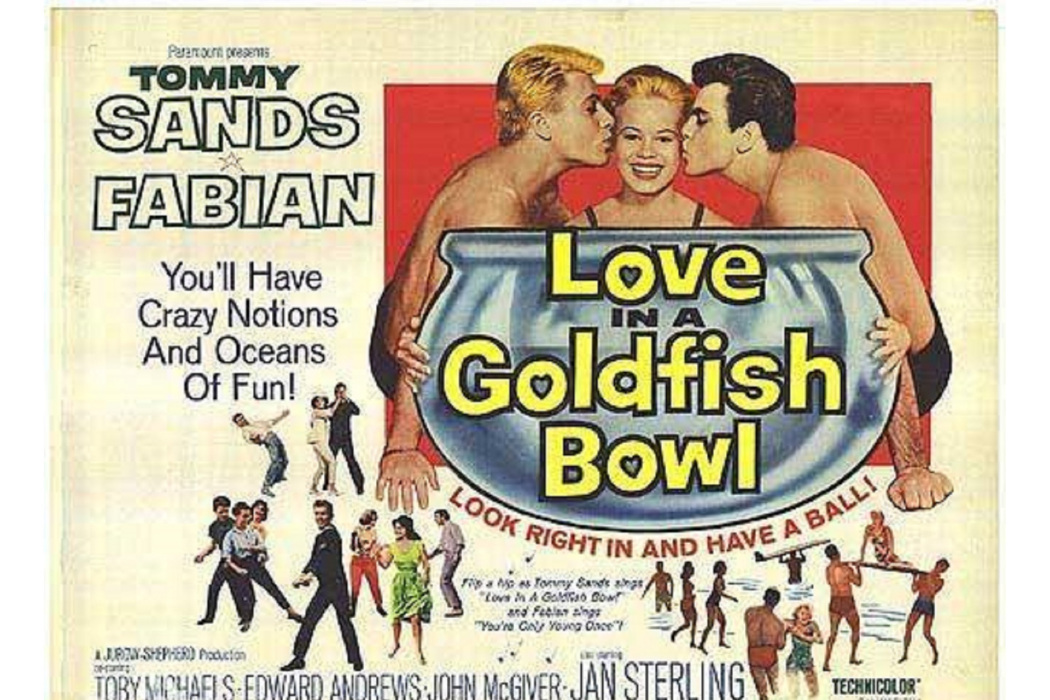 Love in a Goldfish Bowl Love in a Goldfish Bowl