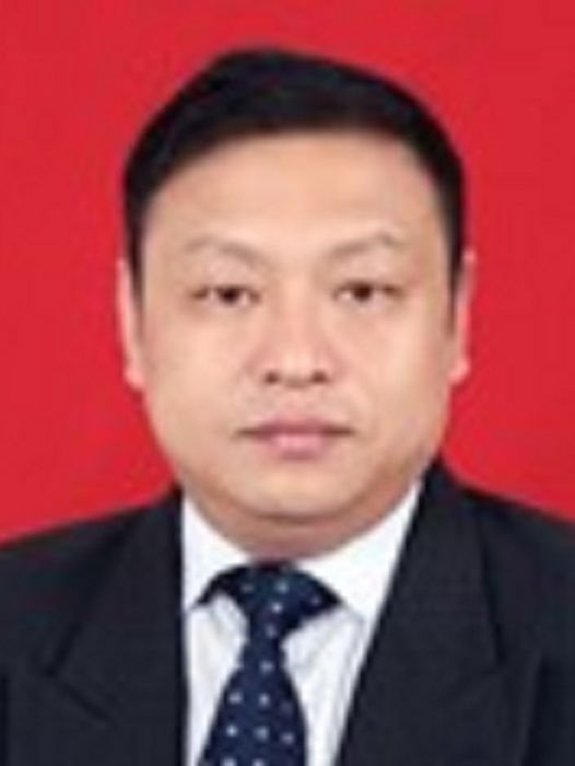 洪超(湖北省恩施州利川市人民政府原黨組成員、副市長) 洪超(湖北省恩施州利川市人民政府原黨組成員、副市長)