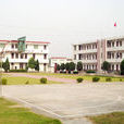 東莊中學 東莊中學