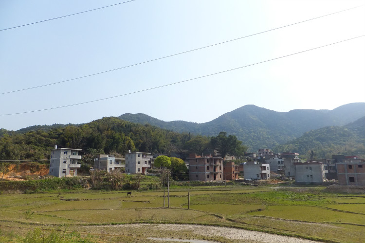 東園村(福建廈門市翔安區新店鎮東園村)