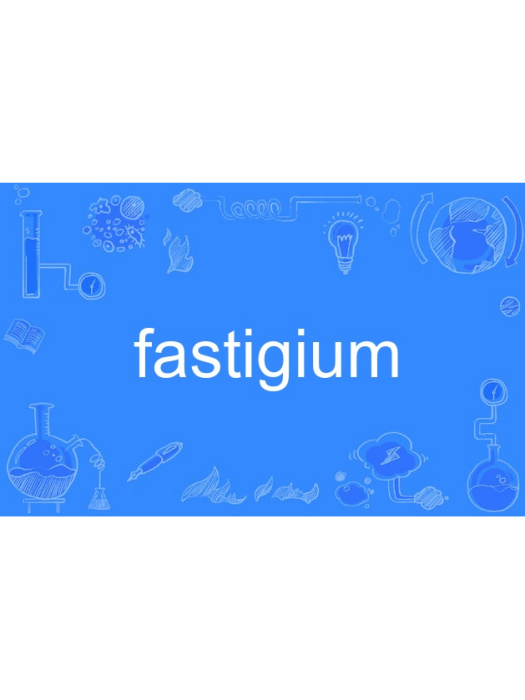 fastigium fastigium