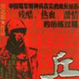 兵王(漠北狼著軍事小說) 兵王(漠北狼著軍事小說)