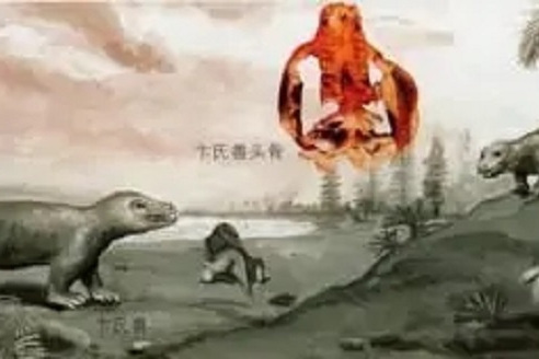 雙節頜獸 雙節頜獸