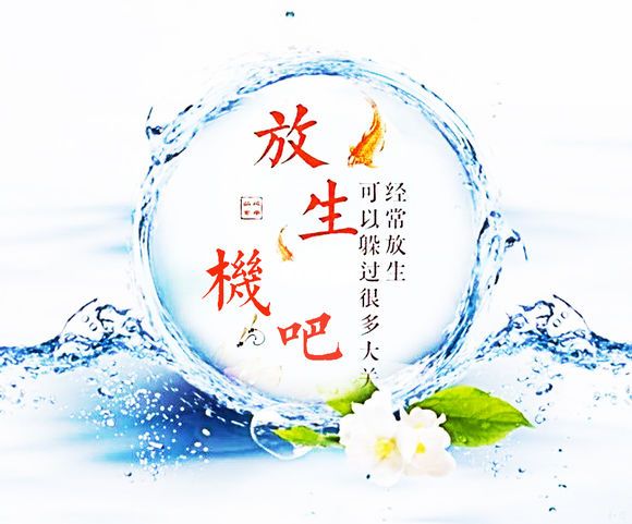放生機吧 放生機吧