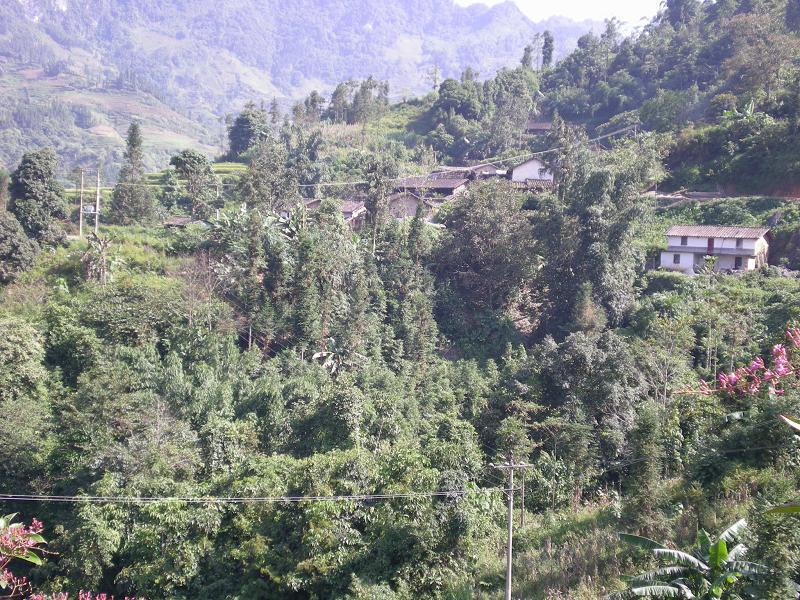 馬草沖村 馬草沖村