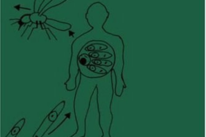 Leishmania (World Class Parasites) Leishmania (World Class Parasites)
