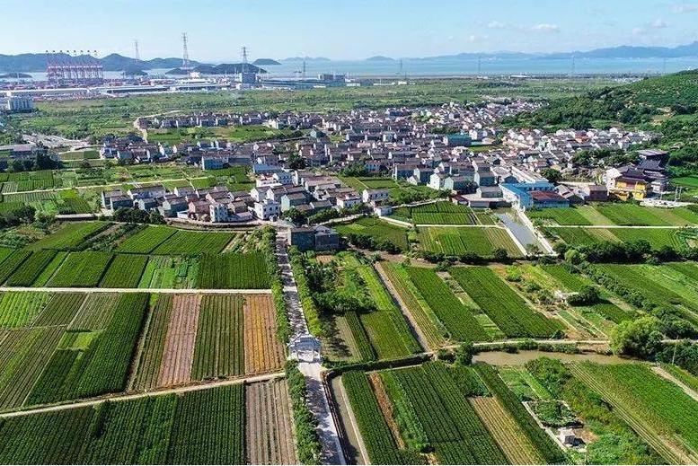 梅港村(浙江省寧波市北侖區梅山街道下轄行政村) 梅港村(浙江省寧波市北侖區梅山街道下轄行政村)